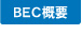 BEVTv